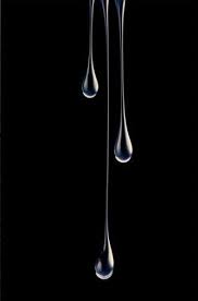 Black And White Still Life Photography Ideas Photography Still Life Makeup Inspiration 42 Best Ideas Black Paper Drawing Black Paper Scratchboard Art