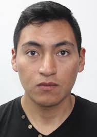 Ingresos de Otorongos Elecciones 2022