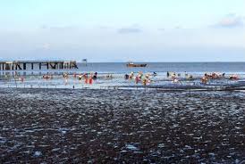 Quán bánh bèo chợ hàng bông. Keo Nhau Ä'i Biá»ƒn Tan Thanh Tiá»n Giang Chen Háº£i Sáº£n Ä'a Ä'á»i Vntrip Vn