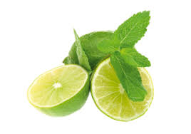 La freschezza e il suo sapore di menta conquisterà anche i palati più ingredienti del mojito cubano (per 2 persone). Cultura Del Mojito Cubano Ricetta Storia Filosofia Del Gusto