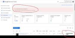 Need to Fix Misrepresentation issues in Google Merchant Center ...
