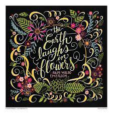 These books also have perforated pages and are printed on 1 side for coloring and have inspirational quotes on the back. Amazon Com Chalk Style Botanicals Deluxe Coloring Book Color With All Types Of Markers Gel Pens Colored Pencils Design Originals 32 Beautiful Floral And Plant Designs In The Charming Chalk Folk Art Style