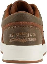 Image result for Sutera levis