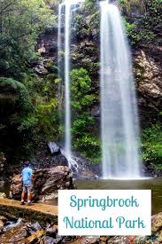 Springbrook National Park The Green Behind The Gold Coast National Parks Australia Travel Travel Style Summer