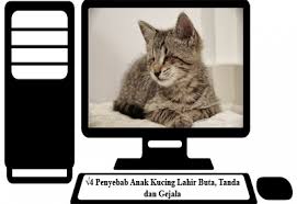 Kenapa kucing selalu menyembunyikan kotorannya dalam pasir? 4 Penyebab Anak Kucing Lahir Buta Tanda Dan Gejala