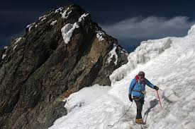 The rwenzori mountains national park is home to dozens of species of plants and animals not found anywhere else in the world, such as the rwenzori red duiker (a type of antelope) and the rare, dark rwenzori leopard. Mt Rwenzori National Park The Fabled Mountains Of The Moon