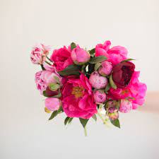 Especially, during big holidays like black friday, new year, christmas, or more, tons of farmgirl flowers discount code will show. Ppp Peonies Farmgirl Flowers