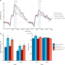 A person who can speak multiple languages is known as a polyglot or a multilingual. Processing Differences Between Monolingual And Bilingual Young Adults On An Emotion N Back Task Sciencedirect