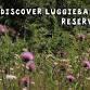 Discover Luggiebank Wood Wildlife Reserve event image