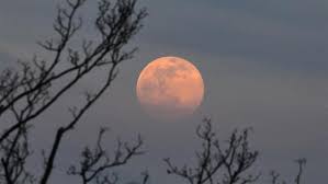 During the april full moon tonight and early tuesday, the moon will be about 222,064 miles april full moon is also called the pink moon, but it has nothing to do with its color. Erqecoghsjxpqm