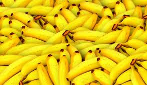 The banana plant, musa paradisiaca, is the world's largest herbaceous perennial plant and belongs to the family musaceae. How An Ai Powered App Is Helping Banana Farmers In Developing Countries The Week