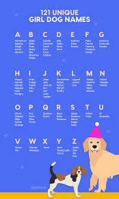 It`s always hard to choose a perfect dog name for your baby girl. Female Dog Names Unique Meaning
