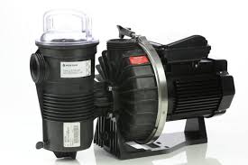 Century Electric Ecm16squ Vgreen165 Variable Speed Pool Pump Motor 48y Frame Square Flange 1