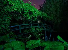 Claude Monet S Water Garden At Giverny Night Garden Monet Garden Giverny Water Garden