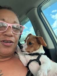 Emergency veterinarian contact numbers