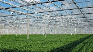 109 garden greenhouse nursery jobs available on indeed.com. 4 Basic Insurance Policies For Greenhouses And Nursery Garden Centers