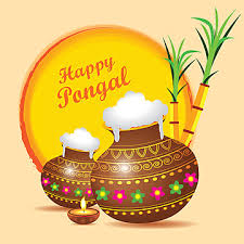 Sending your way the most warm and kind wishes this festive season. Pongal Greetings Templates Psd 5 Design Templates For Free Download