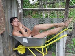 komik el arabaları ile ilgili görsel sonucu