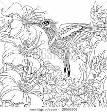 A colorful and happy art journal layout using lots of my favorite techniques. Zentangle Stylized Vector Photo Free Trial Bigstock