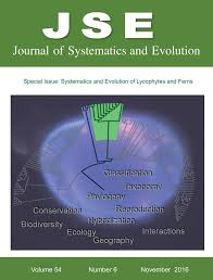 Image result for Menisorus pauciflorus