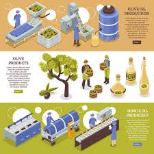 Olive Oil Horizontal Banners Flyer Design Inspiration Tree Illustration Oils
