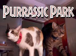 Check spelling or type a new query. Purrassic Park S Velocikitties Thanks Youtube
