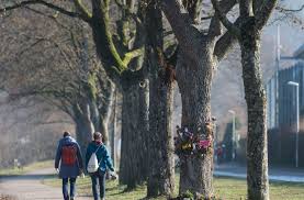 „für mich war der austausch mit studierenden und dozierenden aus zwölf verschiedenen nationen eine bereicherung. Mordfall In Freiburg Das Ist Dem Burger Nicht Vermittelbar Baden Wurttemberg Stuttgarter Nachrichten