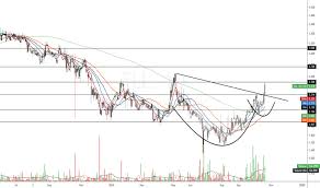 Fll Stock Price And Chart Nasdaq Fll Tradingview