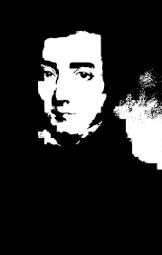 Tocqueville and Democracy in the Internet Age