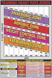 Heart Rate Training Zones Poster Laminated Heart Rate