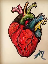 Colour Pencil Sketch Art Max Installer Human heart hand drawn vector illustrations set. colour pencil sketch art max installer