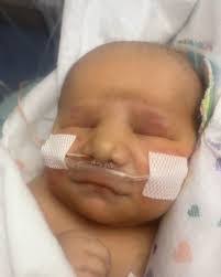 Trisha Hilton's Instagram, Twitter & Facebook