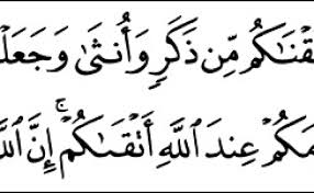 Read or listen al quran e pak online with tarjuma (translation) and tafseer. Murottal Surat Al Hujurat Ayat 11 13 Cute766