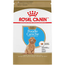 Any way you slice it the combination makes an f1 doodle. Royal Canin Breed Health Nutrition Poodle Puppy Dry Dog Food 2 5 Lbs Petco