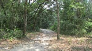 Maybe you would like to learn more about one of these? Hiking Trail At Ft Cooper State Park Picture Of Fort Cooper State Park Inverness Tripadvisor