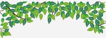 These days the term aesthetics is associated with the microblogging platform tumblr. Gambar Hijau Daun Bunga Baik Baik Saja Daun Kegembiraan Angin Bertiup Akar Daun Hijau Sudut Hiasan Png Dan Vektor Untuk Muat Turun Percuma Spring Flowers Background Watercolor Flowers Green Leaves