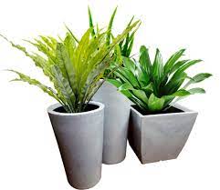 Flower Pot Png Hd Images Flower Pots Hd Images Image