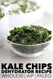 Kale Chips Dehydrator Kale Chip Recipes Dehydrator Recipes Recipes