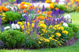 Garden Color Schemes How To Create Gorgeous Garden Color Combinations Gardening From House To Home Purple Flowers Garden Colorful Garden Purple Garden