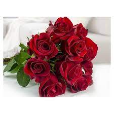 Regalare rose rosse a san valentino è un classico, ma questo splendido mazzo di cinque rose rosse accuratamente confezionate da foglie e verde, puo' essere un pensiero gradito in molte occasioni. Gruppo Soria Rose Rosse Stelo Lungo Per San Valentino