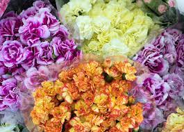 Wholesale flowers, bulk flowers & wedding flowers for events. Why Should You Bulk Flowers Online Discover The Possibilties Floraqueen