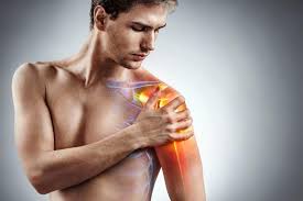 Image result for Shoulder Pain