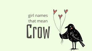 Lenna crow