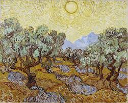 Olive Trees Van Gogh Series Van Gogh Olive Trees Vincent Van Gogh Art Van Gogh Art