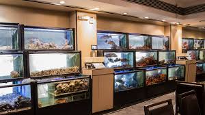 We did not find results for: Sydney S Historic Golden Century Seafood Restaurant Has Entered Into Administration