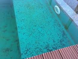 Flecken Auf Teichfolie Hobby Gartenteich