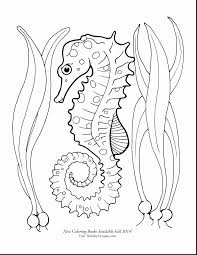 Sea Horse Coloring Page Unique Cute Seahorse Drawing At Getdrawings Butterfly Coloring Page Horse Coloring Pages Horse Coloring
