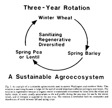Pest control is the management or regulation of species known as pests due to their effect on human health, economy or ecology. Biological Control And Holistic Plant Health Care In Agriculture