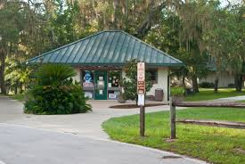 Free camping and campgrounds california campground directory salt springs beautiful landscapes and scenery. Ocala National Forest Salt Springs Campground