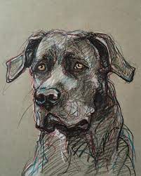 Pin On Drawing